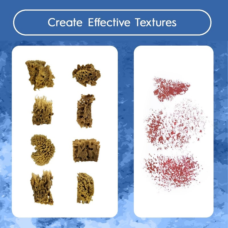 Naroa Artist Natural Sea Sponges for Painting 8 Pack | Unbleached Unique Art Tool Set | Suitable for Acrylic Watercolor, Marbling, Texturing, Pottery, Ceramics - Image 4